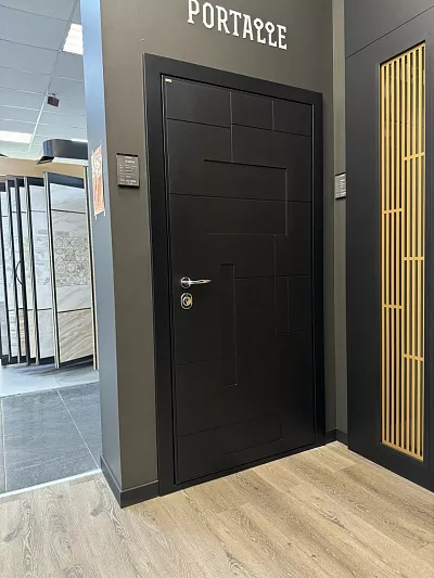 105441 Дверь SHWEDA 950х2050 Правая Ral 9005 Collori Elemento Ral 7009 Collori D005 Скрытые петли Cisa Revolution цил. Securemme Arena хром (Распродажа)