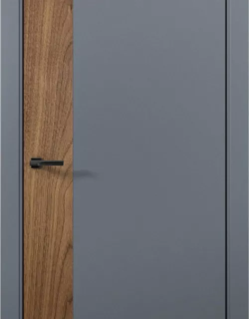 Фото: Межкомнатная дверь Aurum doors Pd 6 Палладий Антрацит