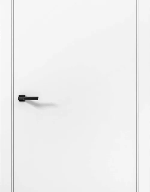 Фото: Межкомнатная дверь Aurum doors Pd 1 Палладий Аляска