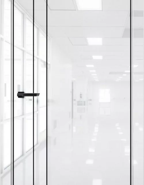 Фото: Межкомнатная дверь Aurum doors Pt 4 Платина Crystal white