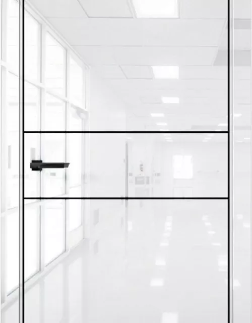 Фото: Межкомнатная дверь Aurum doors Pt 3 Платина Crystal white