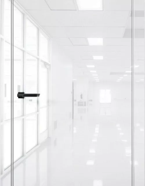 Фото: Межкомнатная дверь Aurum doors Pt 1 Платина Crystal white